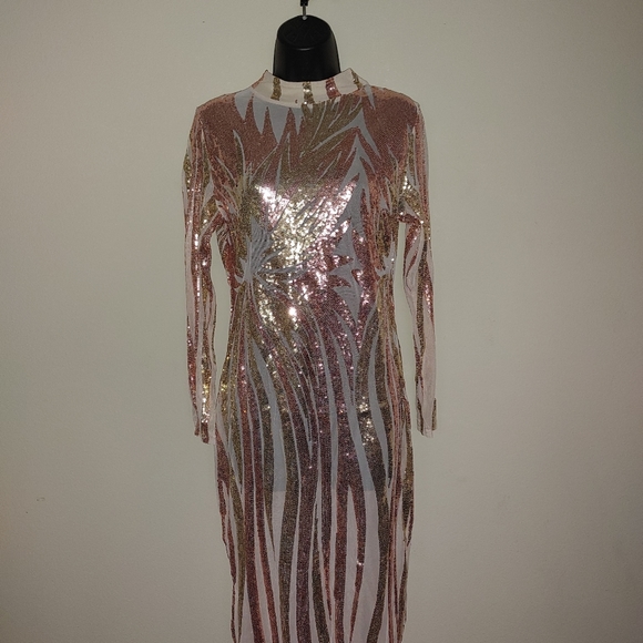 Long Sleeve Nude Mesh Dress - Picture 3 of 4